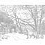 papier peint panoramique forêt avec des animaux de la forêt gris de ESTAhome