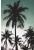 papier peint panoramique palmiers vert pétrole de ESTAhome