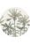 papier peint panoramique rond adhésif palmiers beige clair et vert grisé de ESTAhome