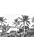 papier peint panoramique paysage tropical avec des palmiers noir et blanc de ESTAhome