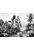 papier peint panoramique paysage tropical noir et blanc de ESTAhome