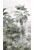 papier peint panoramique paysage tropical avec des palmiers vert foncé et gris de Sanders & Sanders