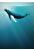 papier peint panoramique Artsy Humpback Whale bleu de Komar
