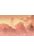 papier peint panoramique Heartwood rose orange pêche de Komar
