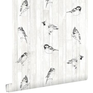 papier peint dessin à la plume des oiseaux sur des planches en bois de bois récupéré rétro vintage noir et blanc mat de ESTAhome