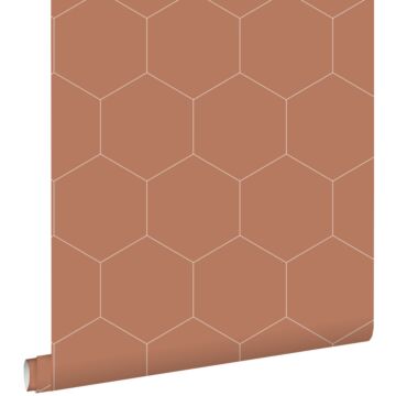 papier peint hexagone terracotta de ESTAhome