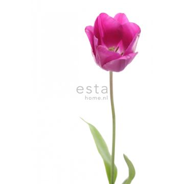 papier peint panoramique tulipe rose et vert de ESTAhome