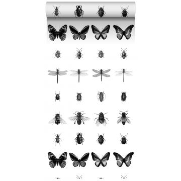 papier peint intissé XXL à motif d'insectes noir et blanc de ESTAhome