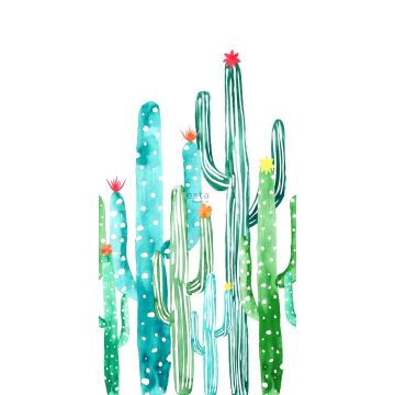 papier peint panoramique cactus à fleurs peint à l'aquarelle vert jungle tropicale et turquoise de ESTAhome