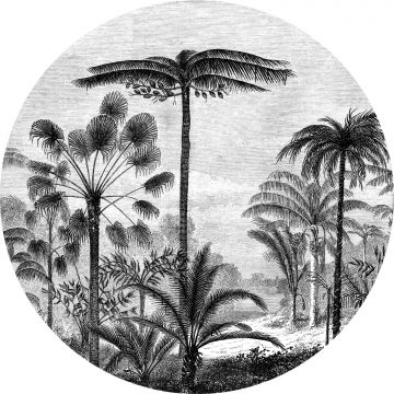 papier peint panoramique rond adhésif paysage tropical avec des palmiers noir et blanc de ESTAhome