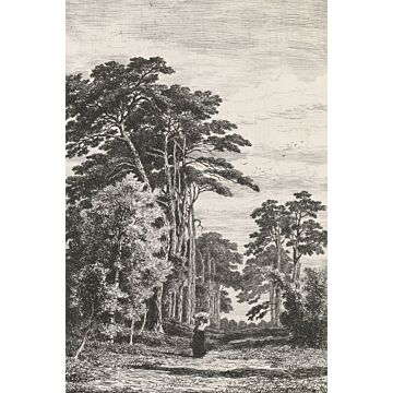 papier peint panoramique paysage boisé noir et blanc de ESTAhome