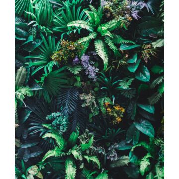 papier peint panoramique plantes tropicales vert de ESTAhome