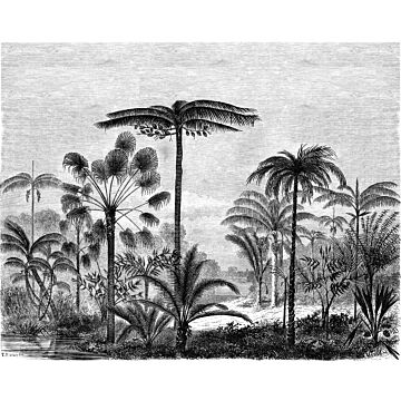 papier peint panoramique paysage tropical avec des palmiers noir et blanc de ESTAhome
