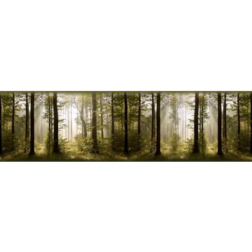frise de papier peint adhésive paysage boisé vert mousse de Sanders & Sanders