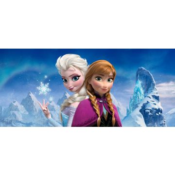 affiche La Reine des neiges Anna & Elsa bleu et violet de Disney