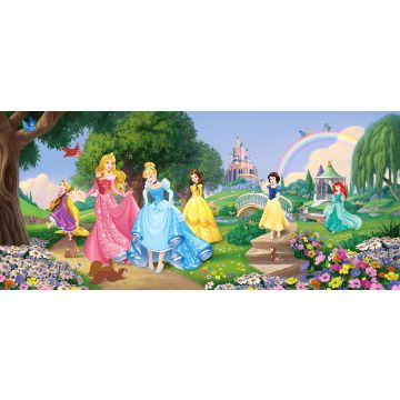 affiche Princesses vert, bleu et rose de Sanders & Sanders