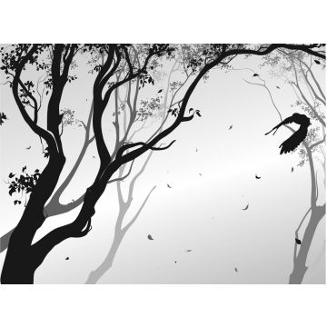 papier peint panoramique arbres gris et noir de Sanders & Sanders