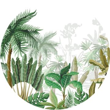 papier peint panoramique rond adhésif feuilles tropicales vert jungle de Sanders & Sanders