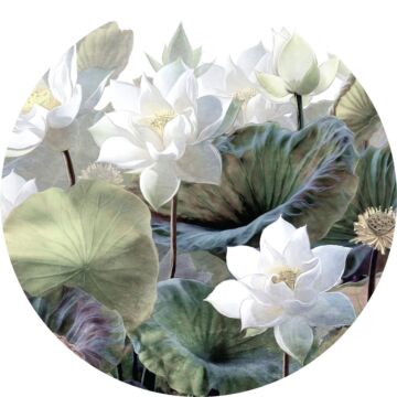 papier peint panoramique rond adhésif feuilles et fleurs tropicales vert et blanc de Sanders & Sanders