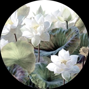 papier peint panoramique rond adhésif feuilles et fleurs tropicales vert et blanc de Sanders & Sanders