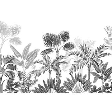 papier peint panoramique paysage tropical avec des palmiers noir et blanc de Sanders & Sanders
