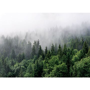 papier peint panoramique montagnes avec des arbres vert de Sanders & Sanders