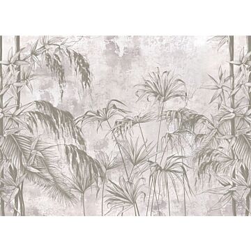 papier peint panoramique plantes tropicales gris de Sanders & Sanders
