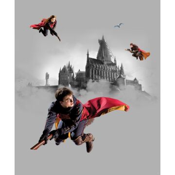 papier peint panoramique Harry Potter Poudlard gris et rouge de Sanders & Sanders