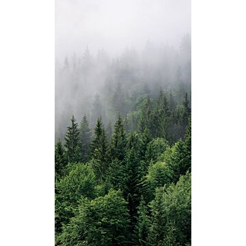 papier peint panoramique montagnes avec des arbres vert de Sanders & Sanders