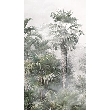 papier peint panoramique paysage tropical avec des palmiers vert foncé et gris de Sanders & Sanders