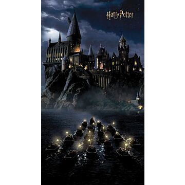 papier peint panoramique Harry Potter Poudlard noir et bleu foncé de Sanders & Sanders
