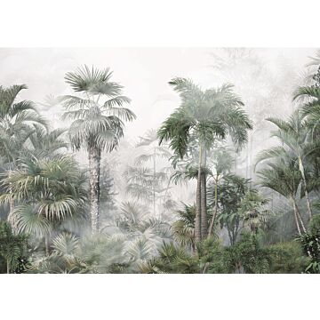 affiche paysage tropical avec des palmiers vert foncé et gris de Sanders & Sanders