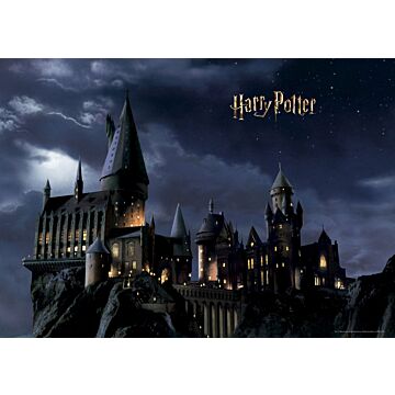 papier peint panoramique Harry Potter Poudlard noir et bleu foncé de Sanders & Sanders
