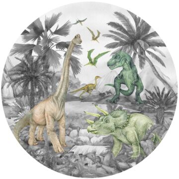 papier peint panoramique rond adhésif dinosaures gris de Sanders & Sanders
