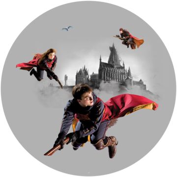 papier peint panoramique rond adhésif Harry Potter Poudlard gris et rouge de Sanders & Sanders