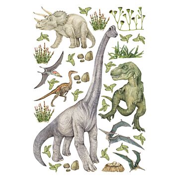 sticker mural dinosaures vert de Sanders & Sanders