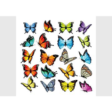 sticker mural papillons multicolore de Sanders & Sanders