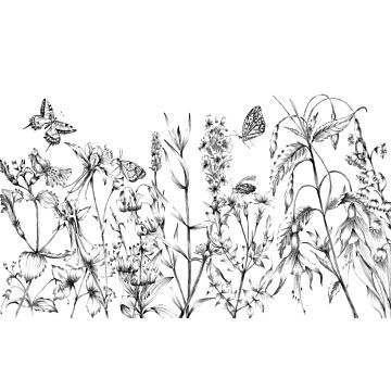 papier peint panoramique Butterfly Field noir et blanc de Komar