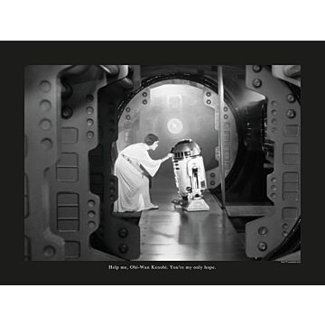 affiche Star Wars Classic Leia R2D2 Quote noir et blanc de Komar