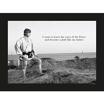 affiche Star Wars Classic Luke Quote noir et blanc de Komar