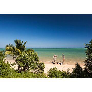 papier peint panoramique Madagascar Hideout bleu et vert de Komar