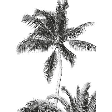papier peint panoramique Retro Palm noir et blanc de Komar