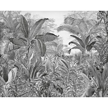 papier peint panoramique Roraima noir et blanc de Komar