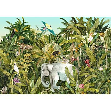 papier peint panoramique Jungle Expedition vert de Komar