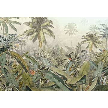 papier peint panoramique Amazonia vert de Komar