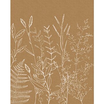 papier peint panoramique Herbs Garden beige de Komar