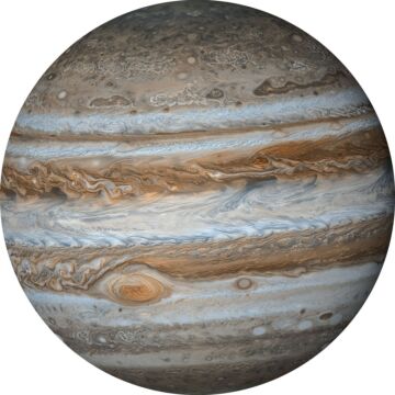 papier peint panoramique rond adhésif Jupiter beige et gris de Sanders & Sanders