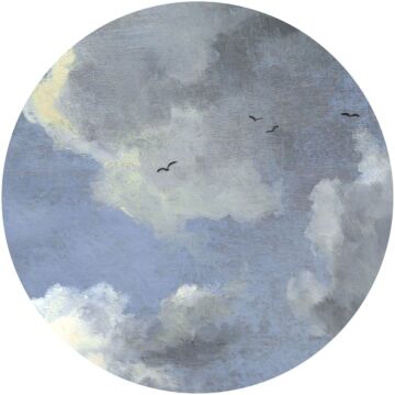 papier peint panoramique rond adhésif des nuages bleu grisâtre de Sanders & Sanders