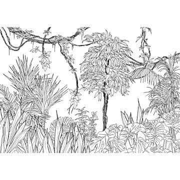 papier peint panoramique jungle noir et blanc de Sanders & Sanders