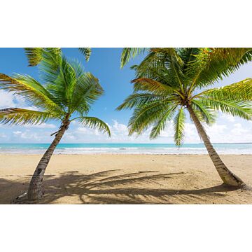 papier peint panoramique plage des Caraïbes vert et bleu de Sanders & Sanders